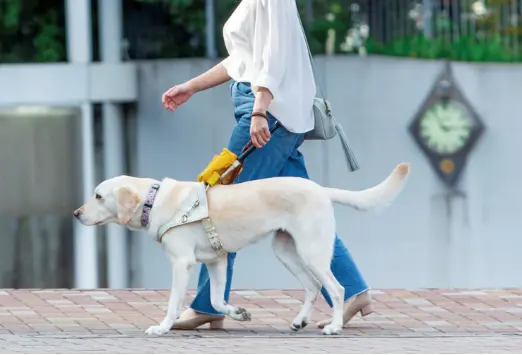 身体障害者補助犬